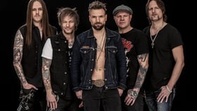 The New Roses