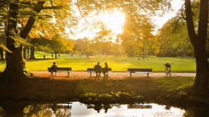 Herbst in München: Die besten Tipps und Aktivitäten