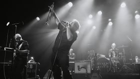 Element of Crime