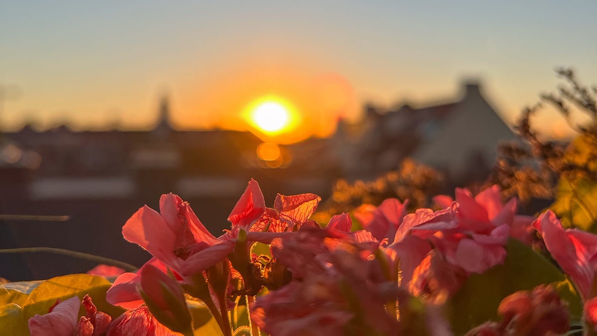 Sonnenuntergang München anschauen auf Münchens Rooftop Bars