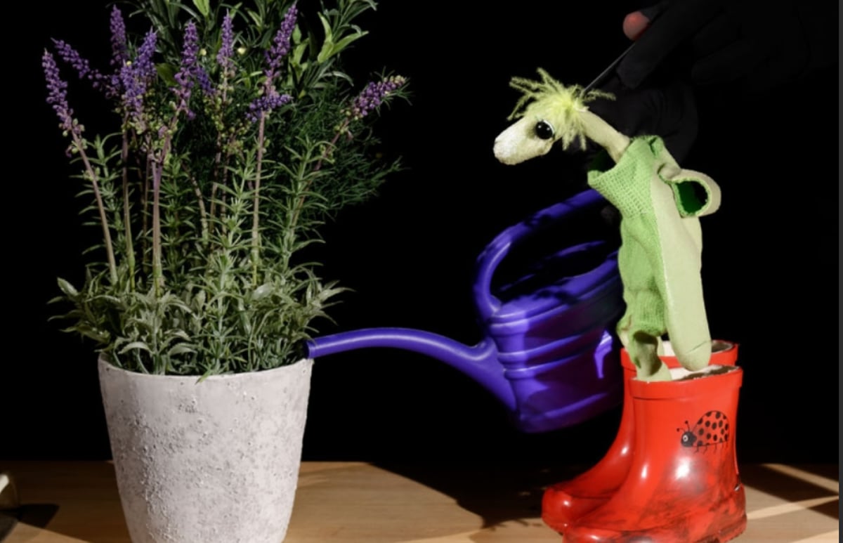 Als der kleine Koriander kam