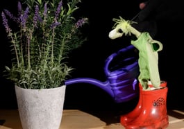 Als der kleine Koriander kam