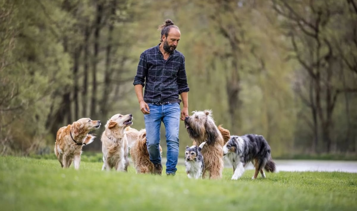 Sami El Ayachi – Der zugewandte Hund
