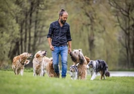 Sami El Ayachi – Der zugewandte Hund