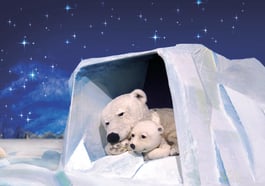 Kleiner Eisbär