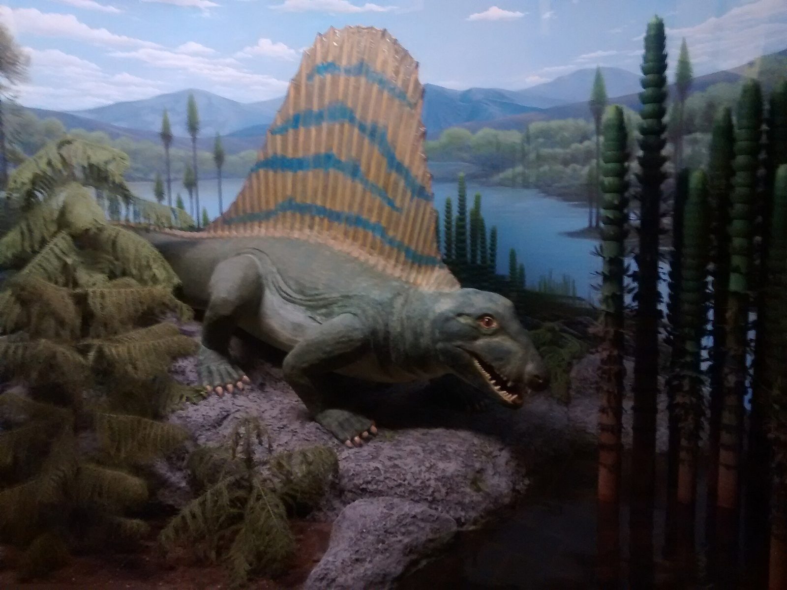 Lebensgroßes Modell eines Dimetrodon in der Geschichte des Lebens im Museum Mensch und Natur