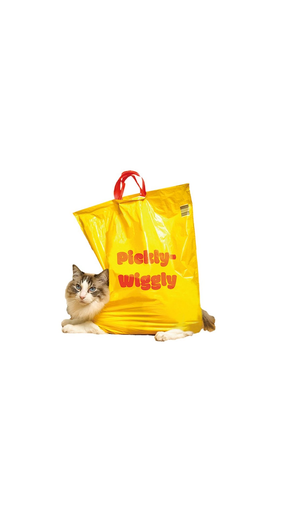 Pickly Wiggly