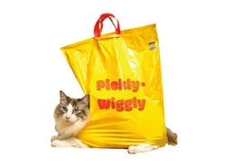 Pickly Wiggly