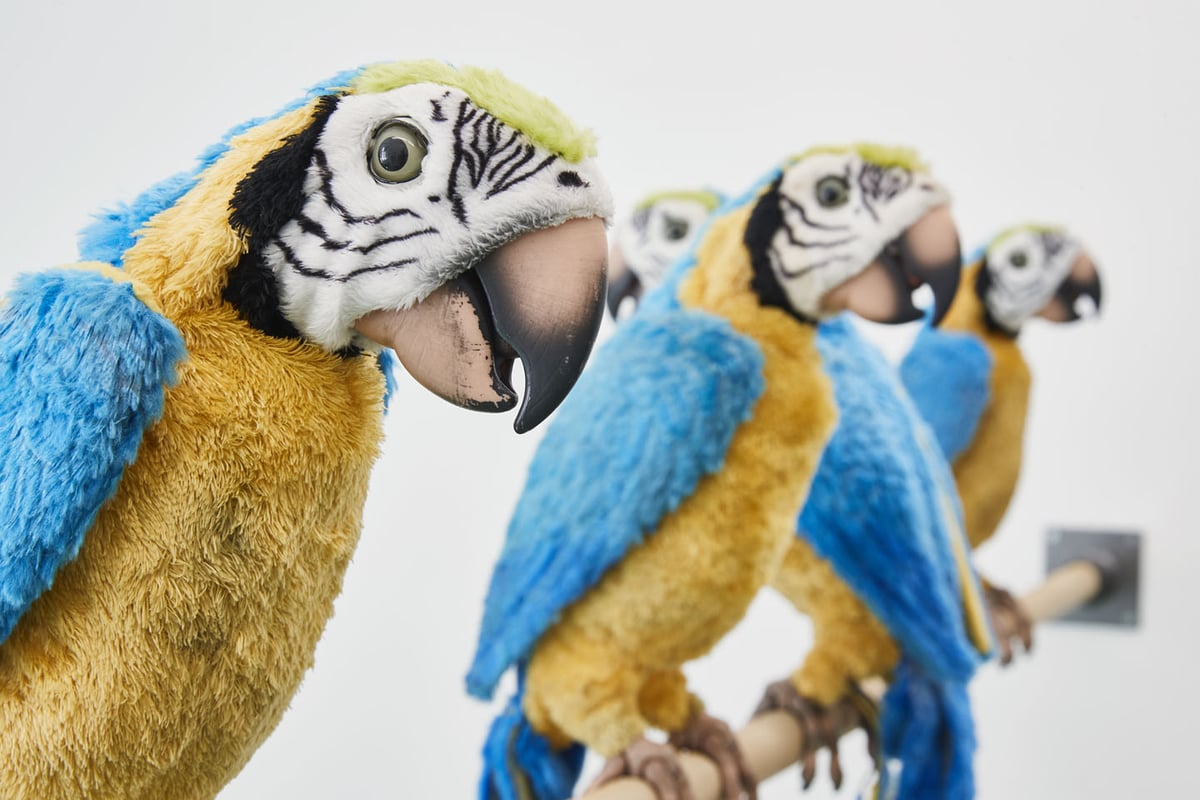 Ab 11.4. in der ERES-Stiftung: The Bird Show