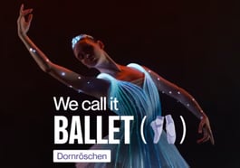 We call it Ballet – Dornröschen