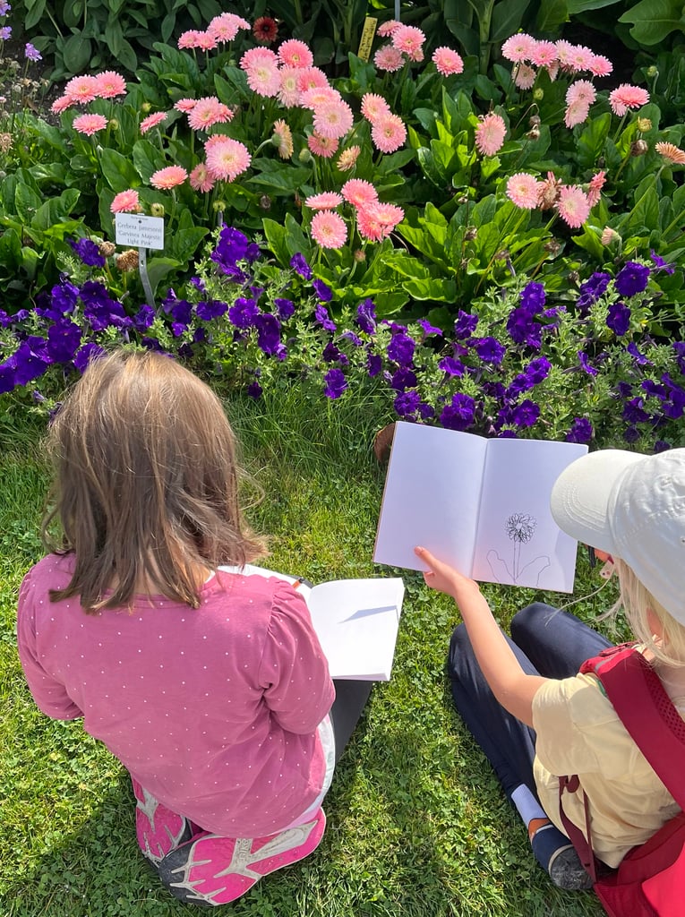 Children sitting on the grass drawing in sketchbooks beside a bed of pink Gerbera daisies and purple flowers in a garden.