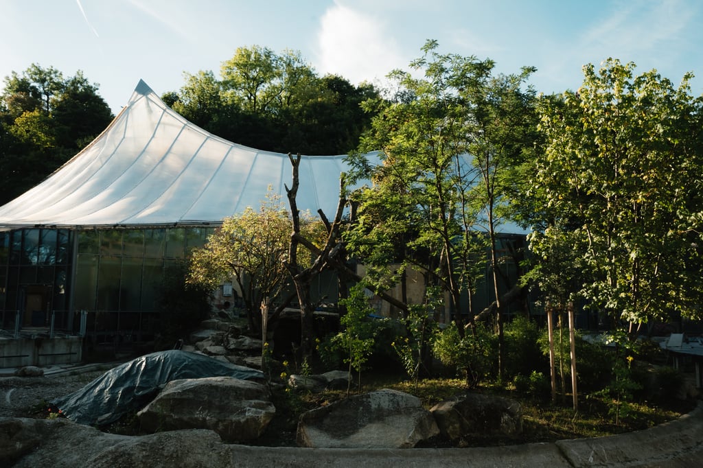 Curved glass greenhouse edged by green trees under a clear blue sky, with large rocks in the foreground.