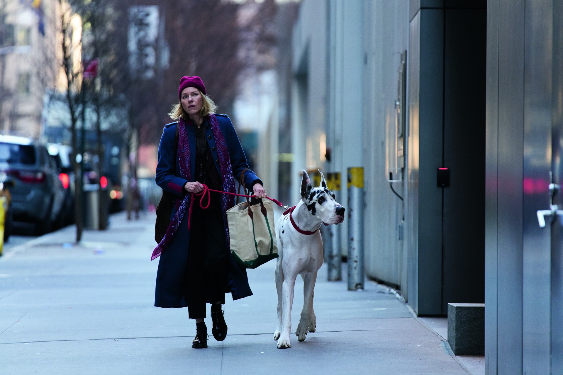 Bilder aus Loyal Friend