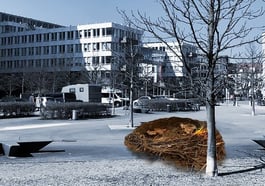 Ein Nest für Menschen