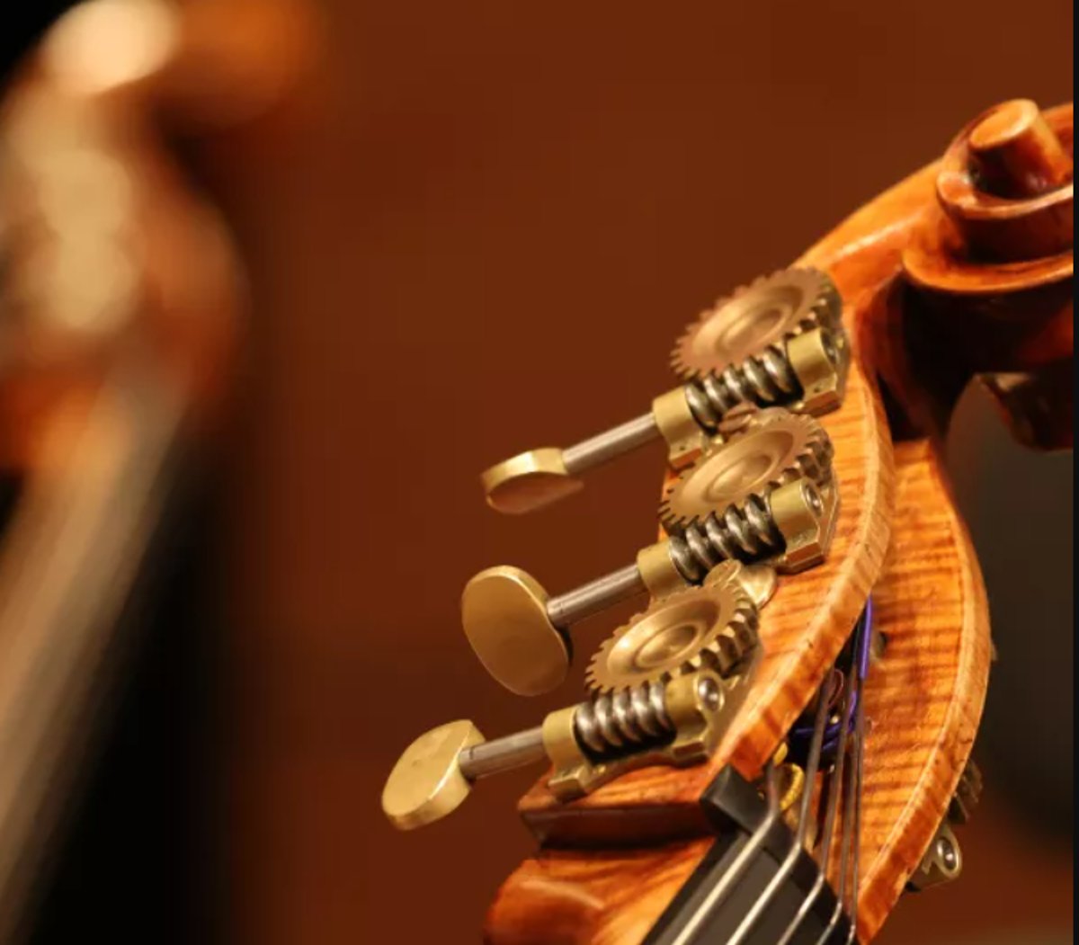 Münchner Symphoniker: PESTALOZZI x MSY