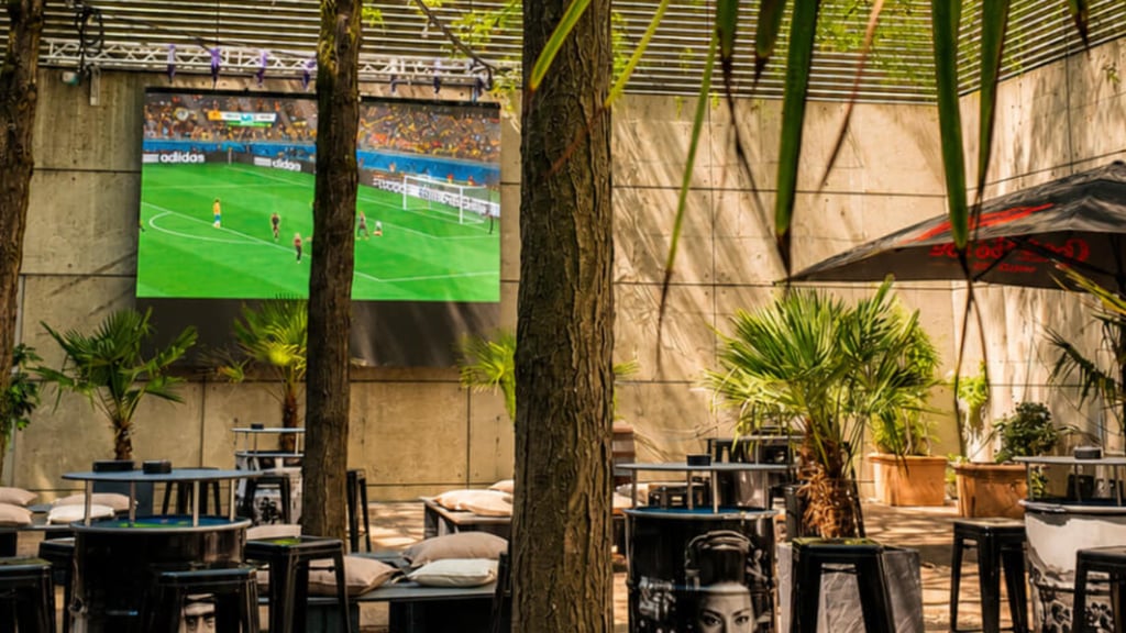 Public Viewing unter Palmen