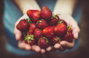 Echt beerig! Wo ihr in München Erdbeeren pflücken könnt? Wir haben 16 Spots für euch entdeckt 