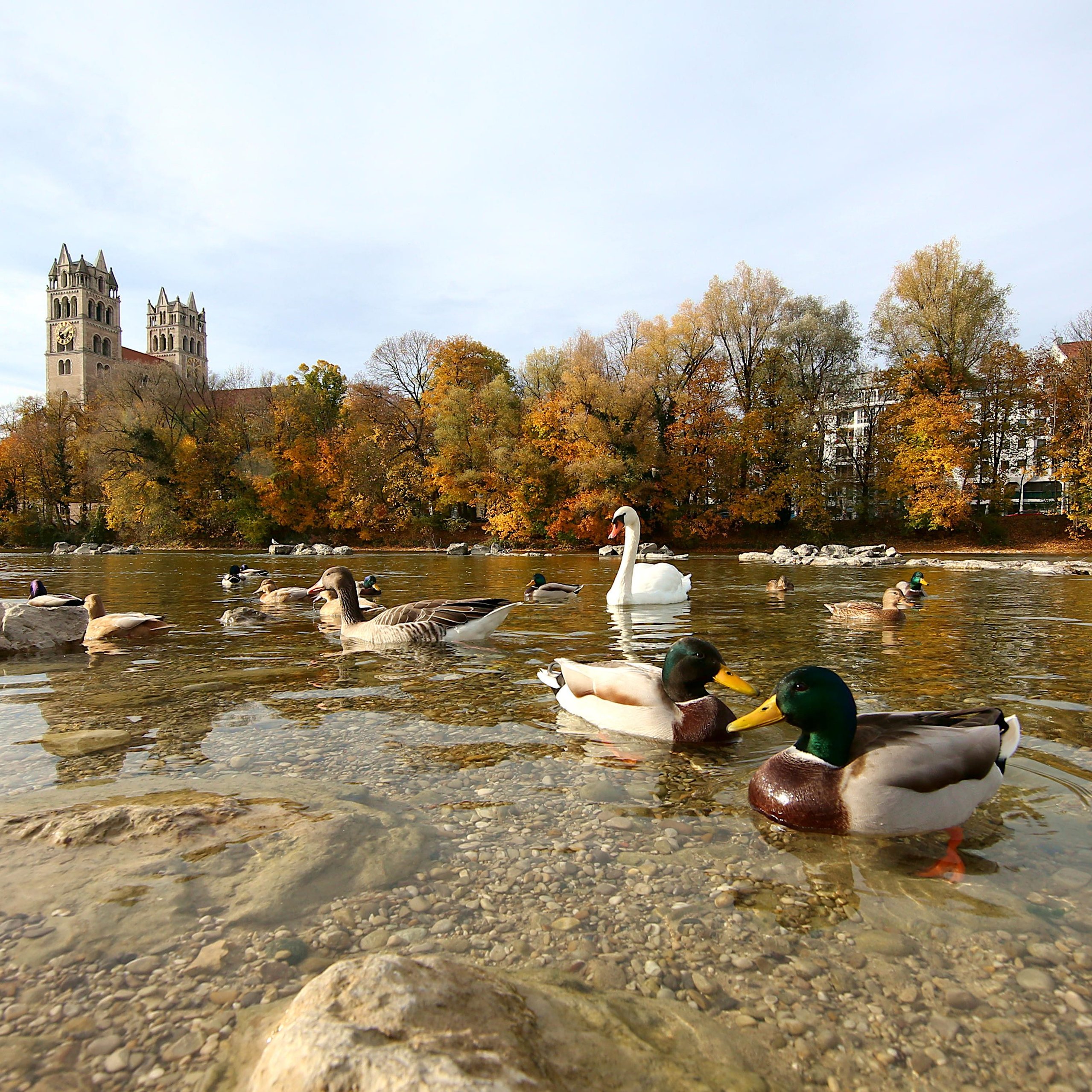Au-Haidhausen: Isarufer