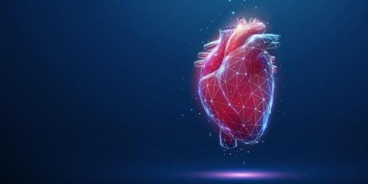 Offen, poly, beziehungsanarchisch