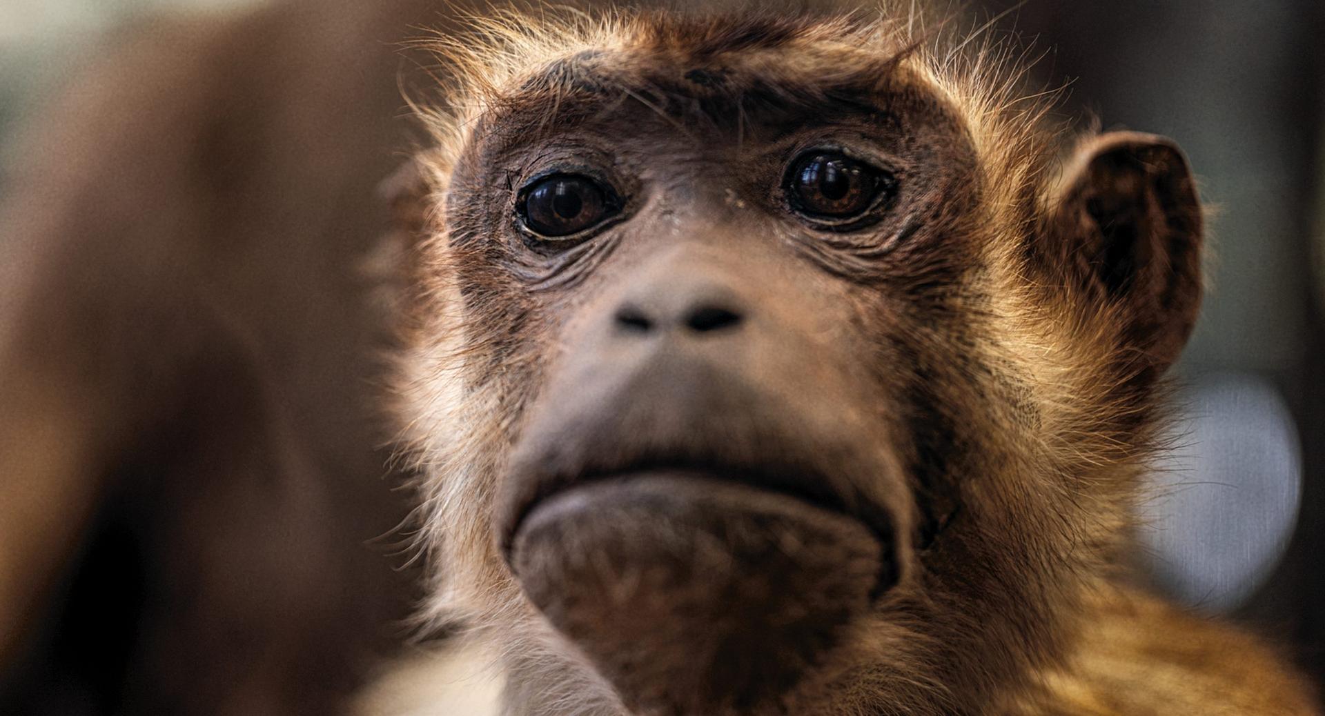 Bilder aus Archiv der Zukunft