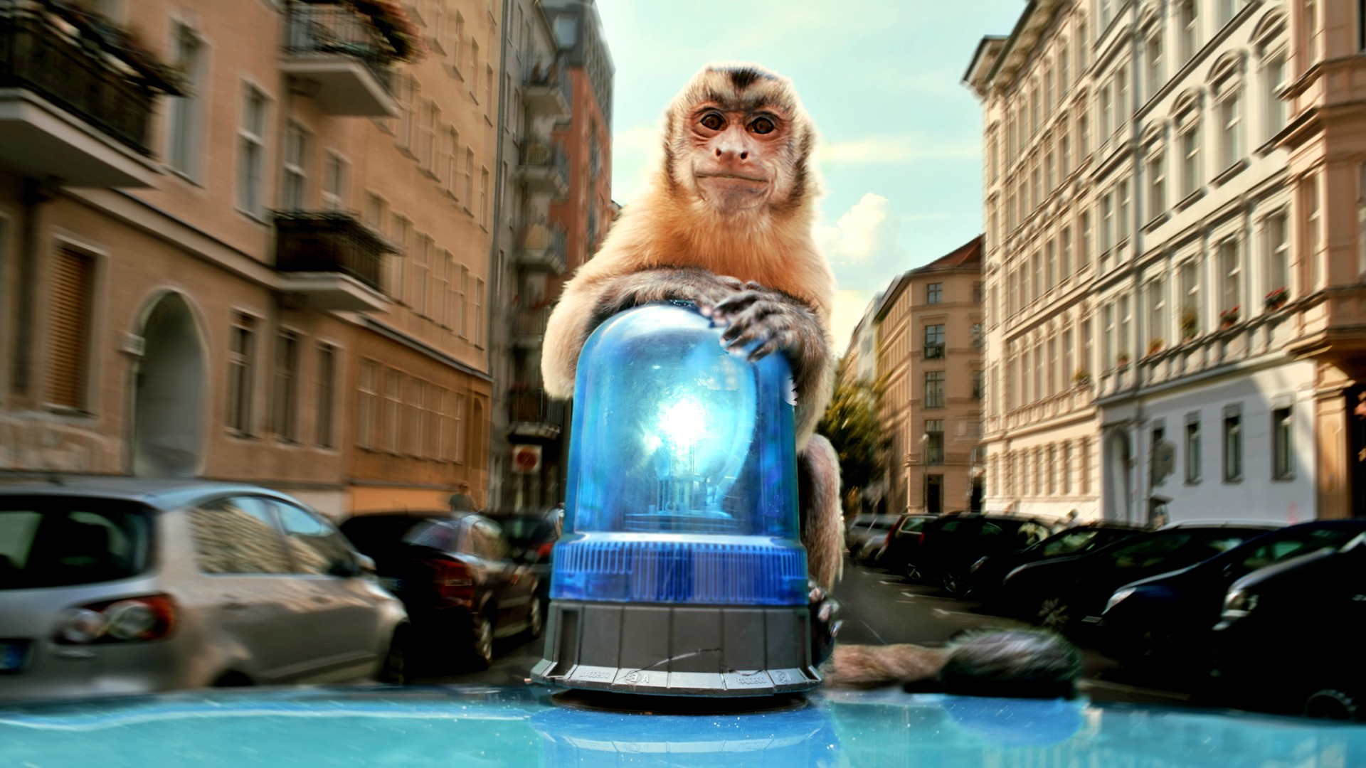 Bilder aus Akiko - Der fliegende Affe