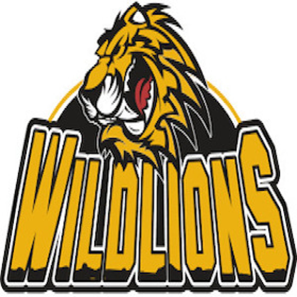 EHC Klostersee – ERSC Amberg