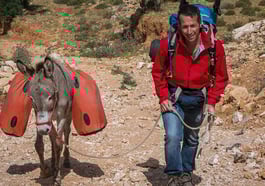 Willi Weitzels Live-Multivisionsshow