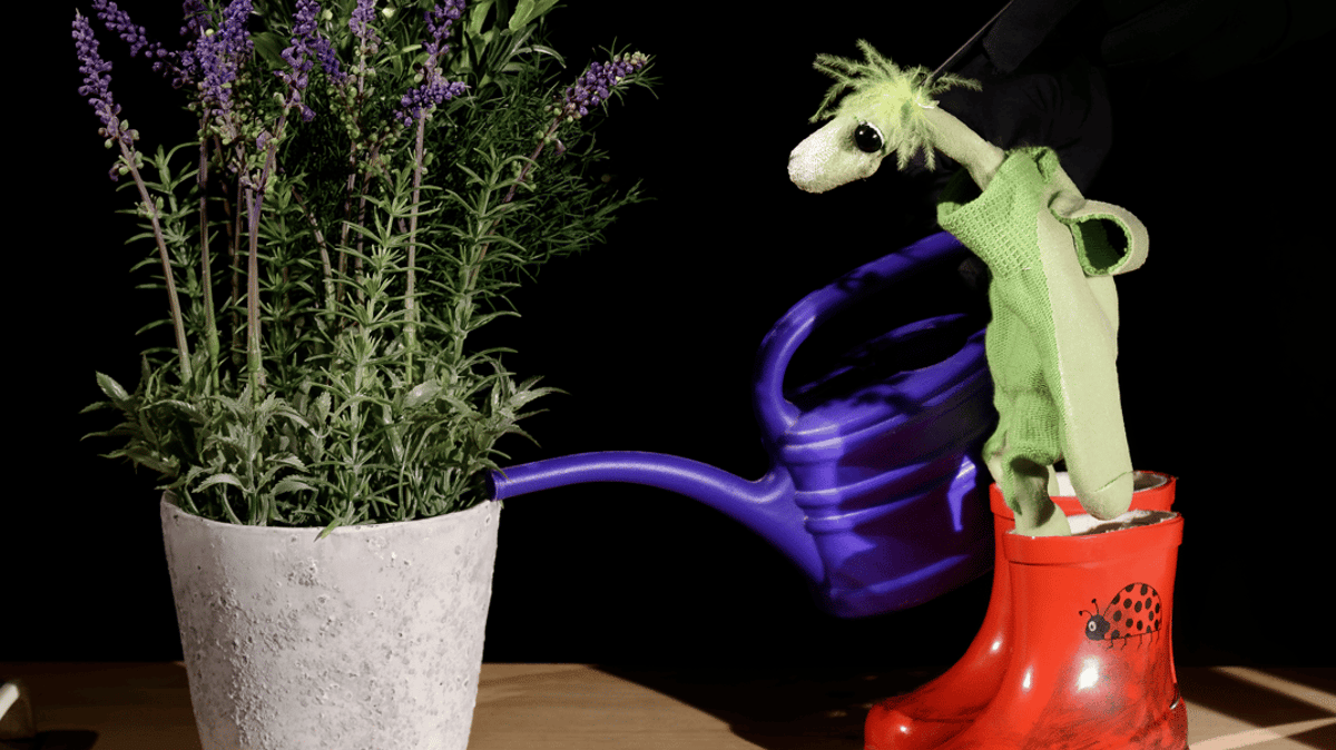 Als der kleine Koriander kam