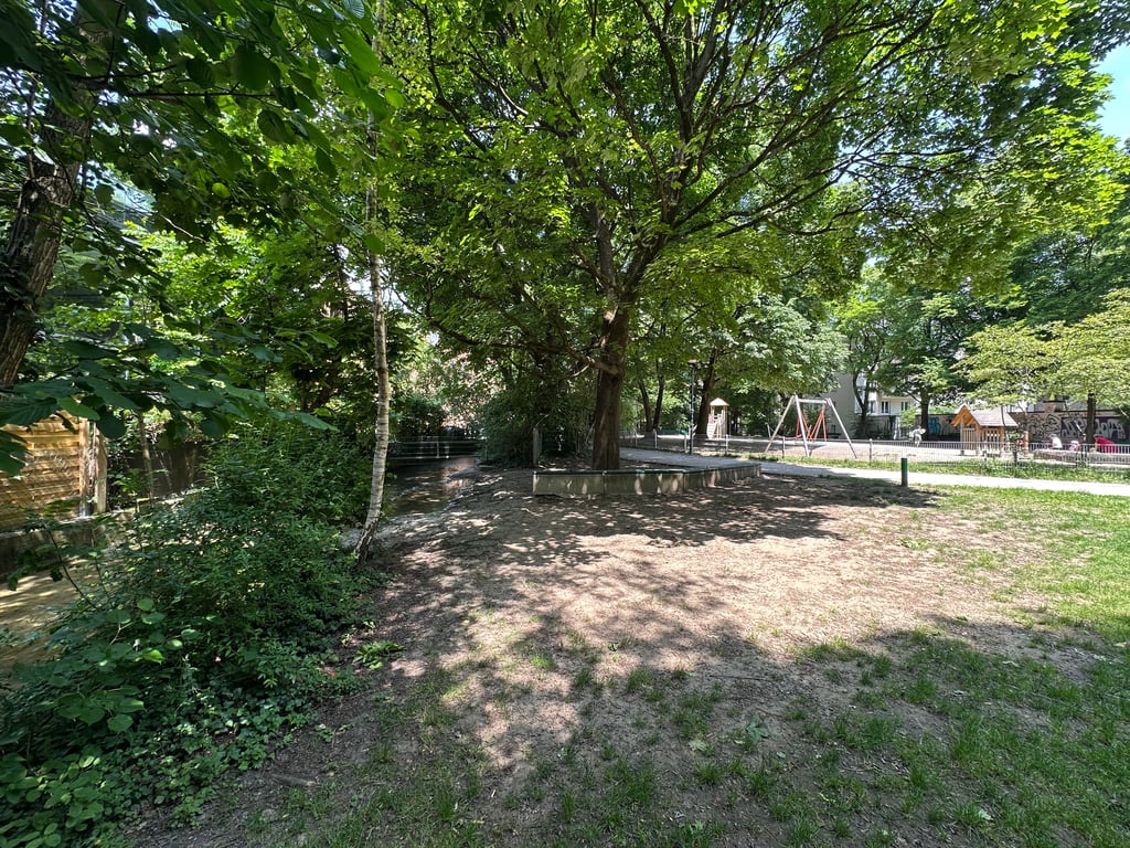 Park scene with dense trees providing shade and a distant playground behind a fence.