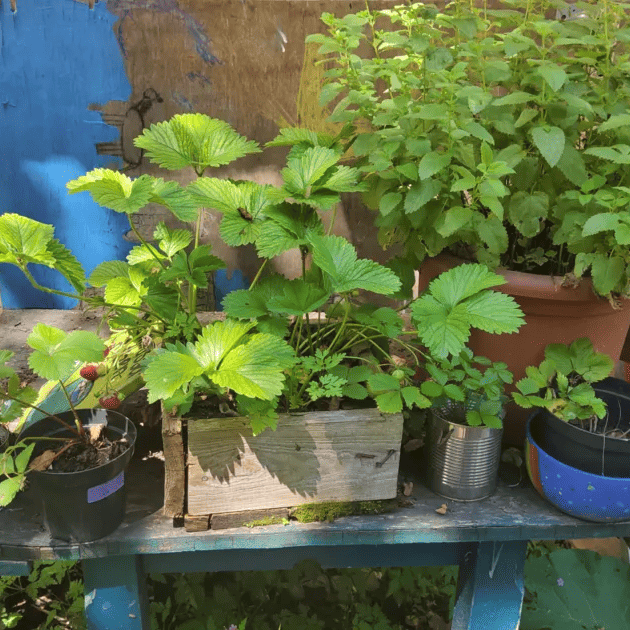 Abenteuerspielplatz München: Haus am Schuttberg
