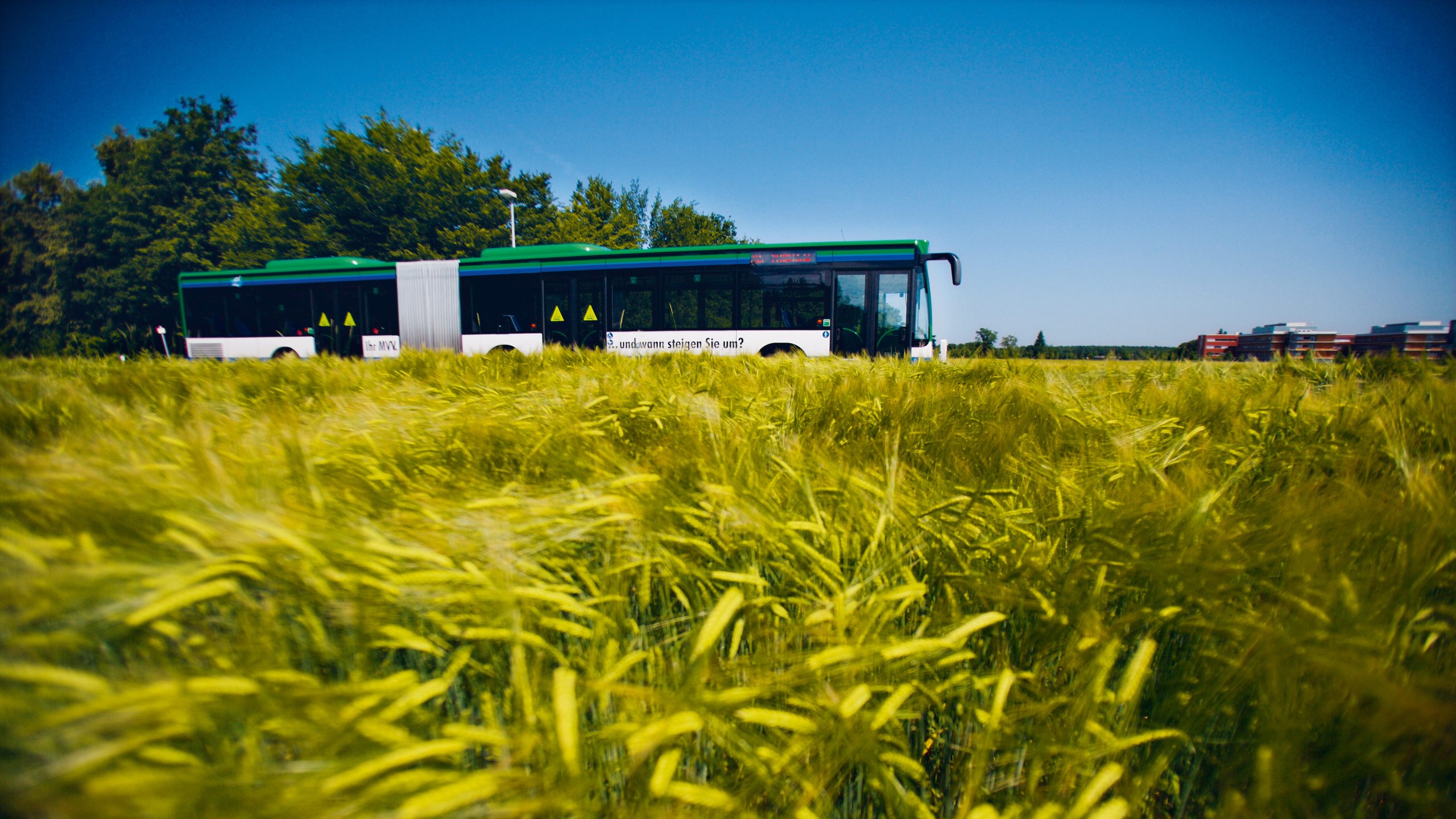 See München: Langwieder See/Badebus