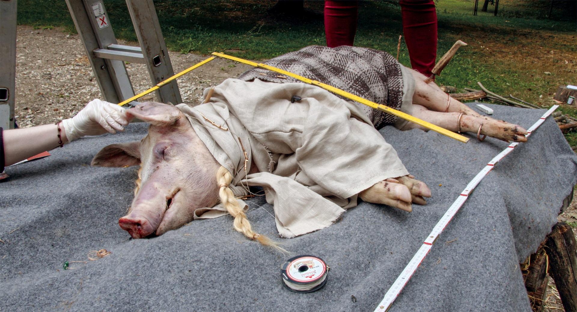 Bilder aus Archiv der Zukunft