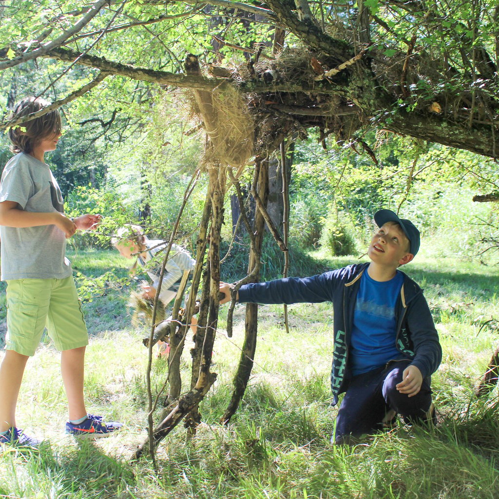 Two kids outdoors by a leafy tree in a sunny park; one stands in a gray T-shirt and lime shorts, another sits/plays nearby in a blue shirt and dark jacket.