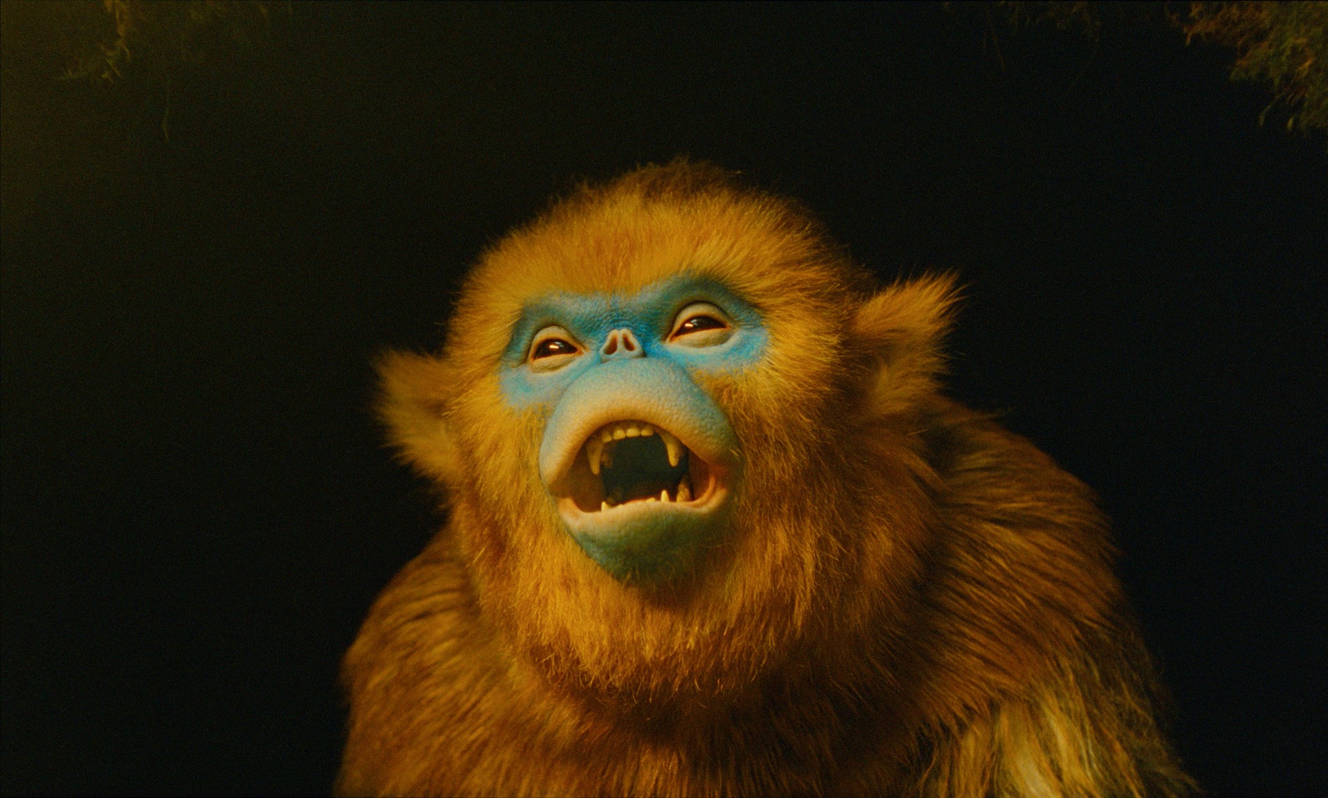 Bilder aus Die Legende von Ochi