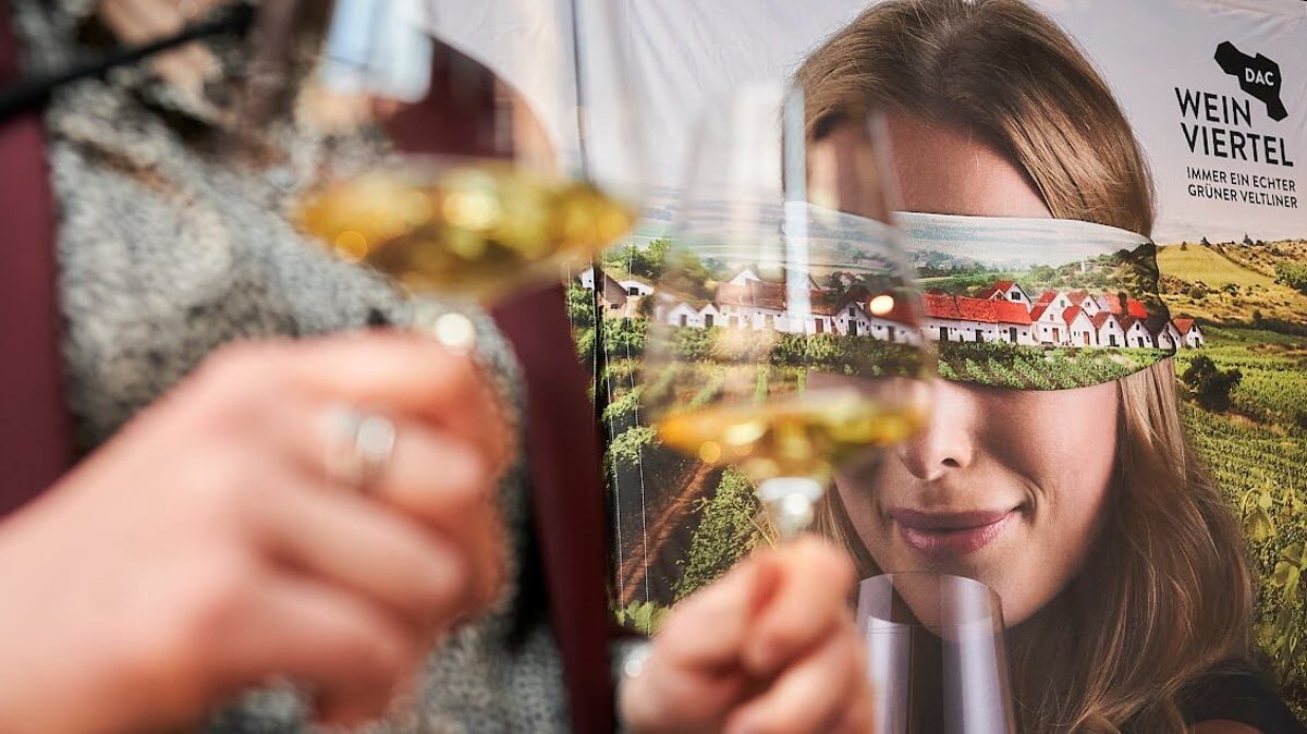 Weinviertel DAC – Jahrgangspräsentation – wo der Grüne Veltliner zu Hause ist