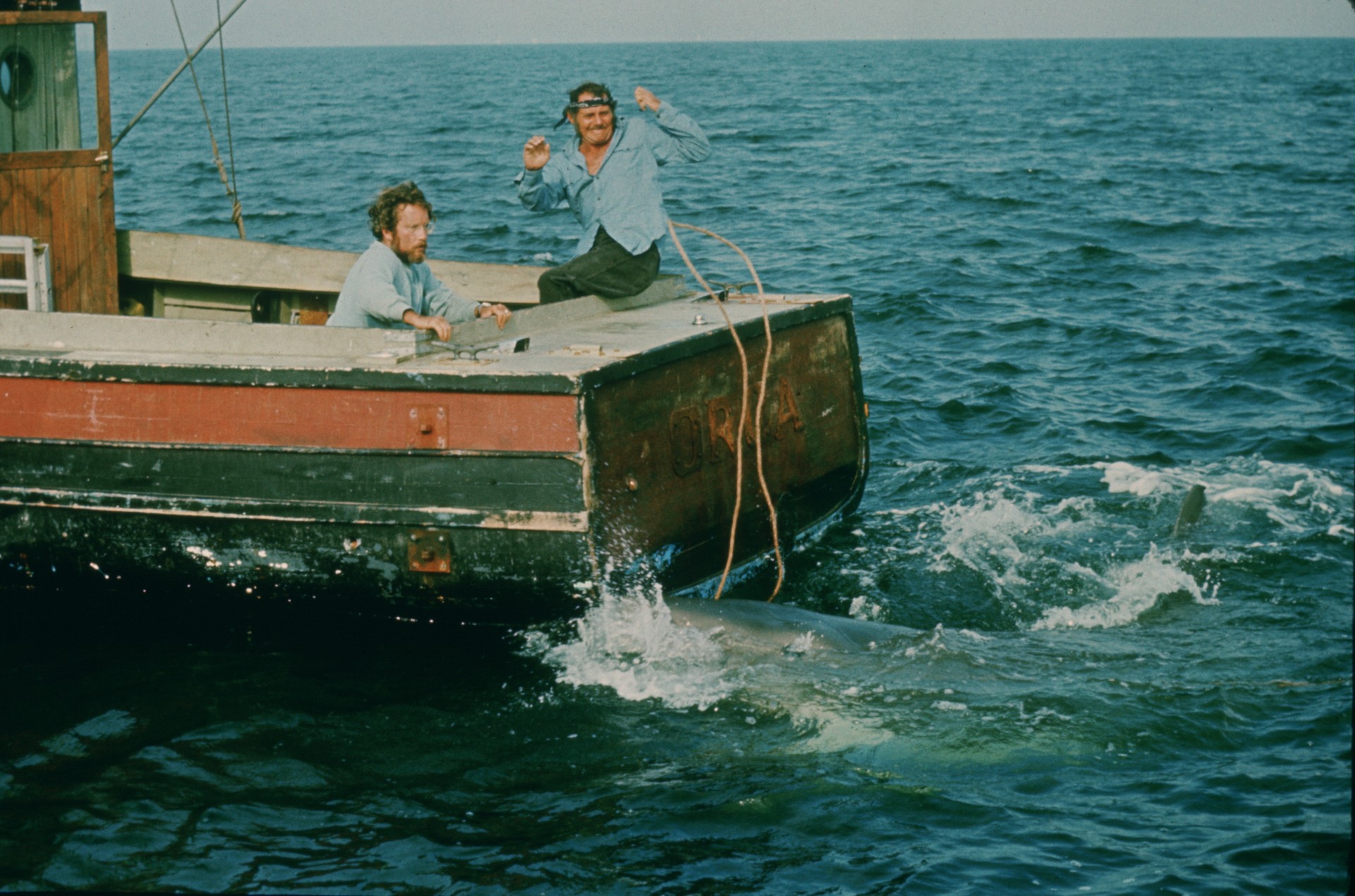 Bilder aus Der weiße Hai