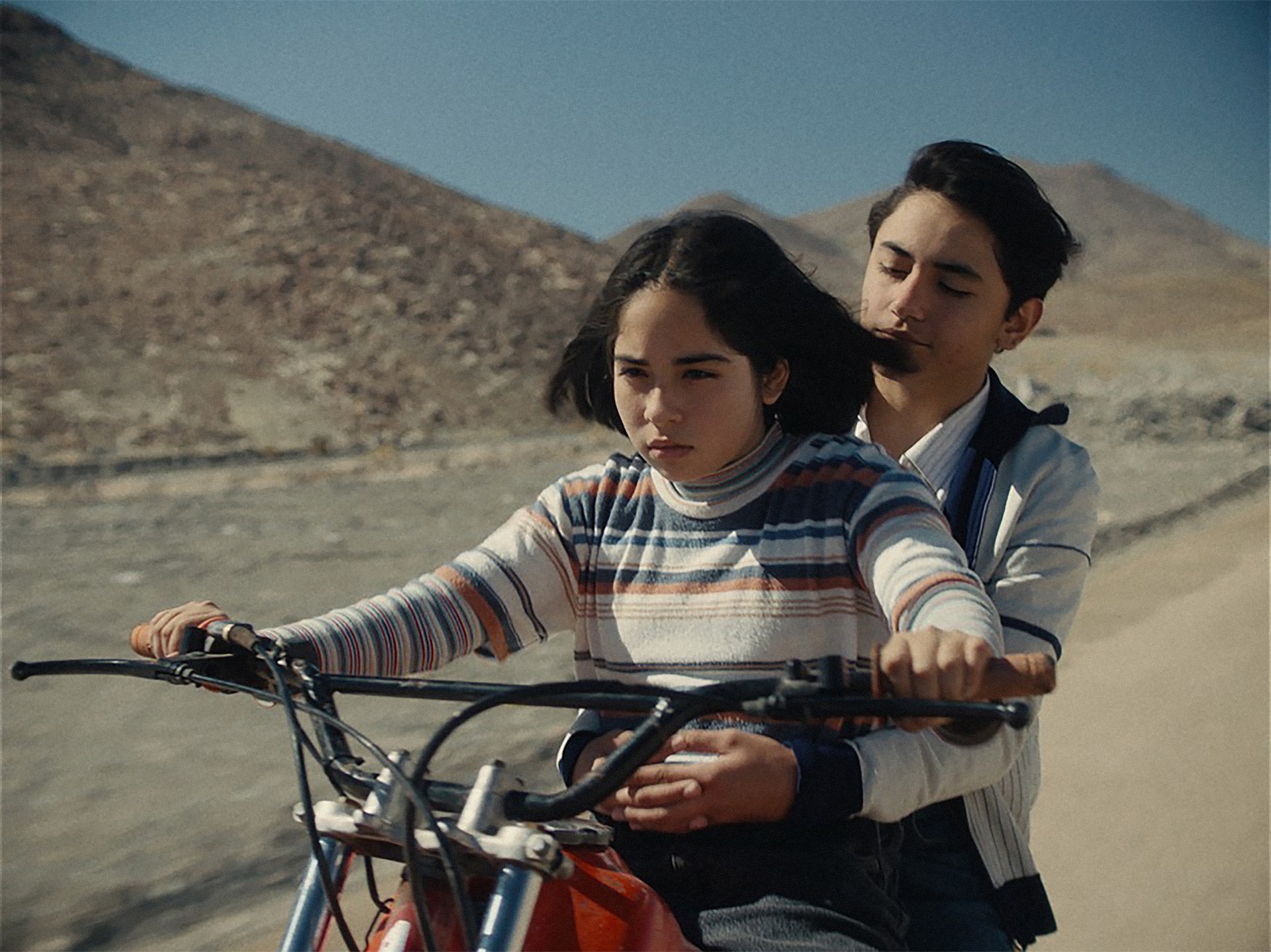 Bilder aus Der geheimnisvolle Blick des Flamingos