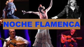 Noche Flamenca