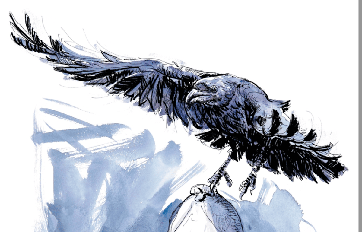 Comic: Edgar Allan Poe „Der Rabe“