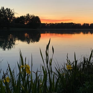 Feringasee: der größte Badesee in München