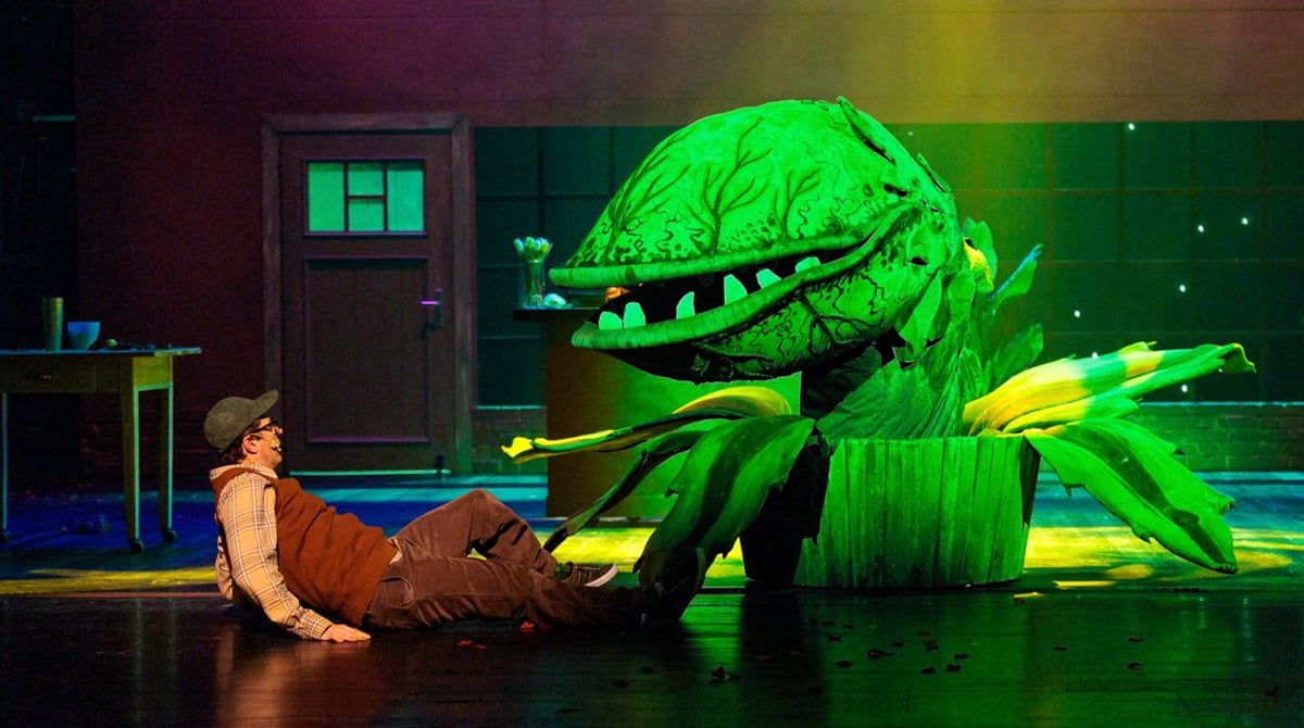 Der kleine Horrorladen ab 27.05. im Deutschen Theater