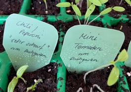 Dachgarten Community