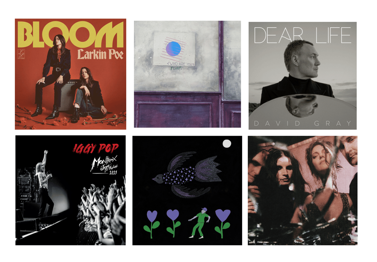 Platten aus nah und fern für den Februar