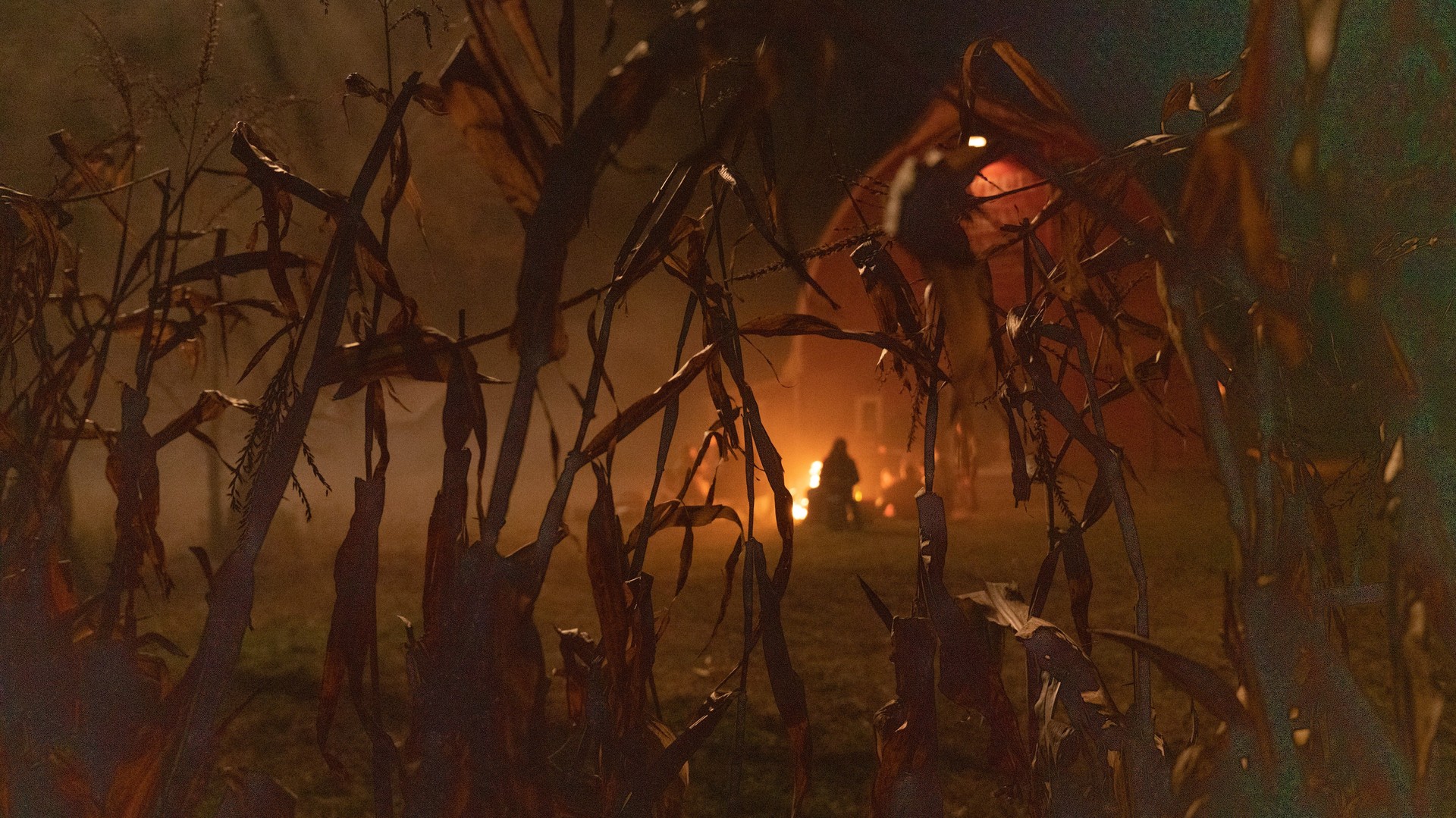 Bilder aus Clown in a Cornfield