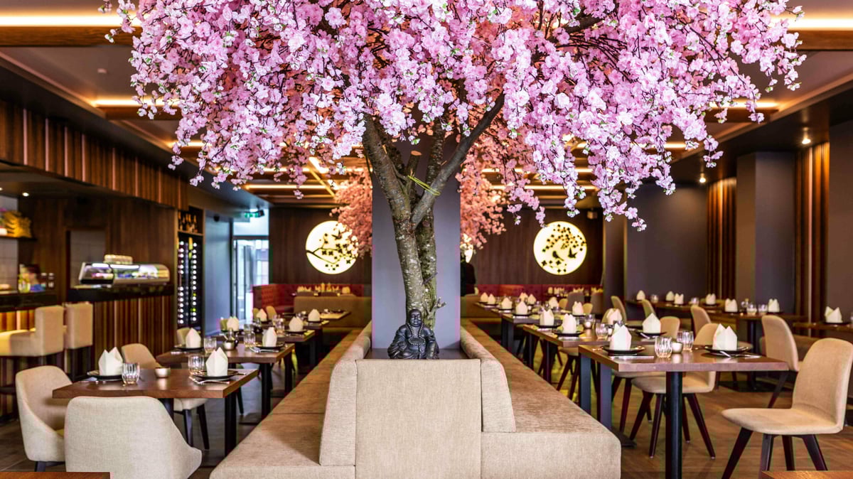 Bestes Sushi München gesucht? Hier sind unsere Restaurant-Tipps