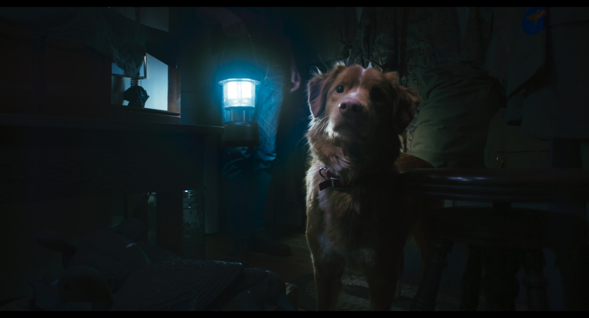 Bilder aus Good Boy - Trust his Instincts