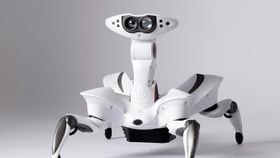 Robotic Worlds