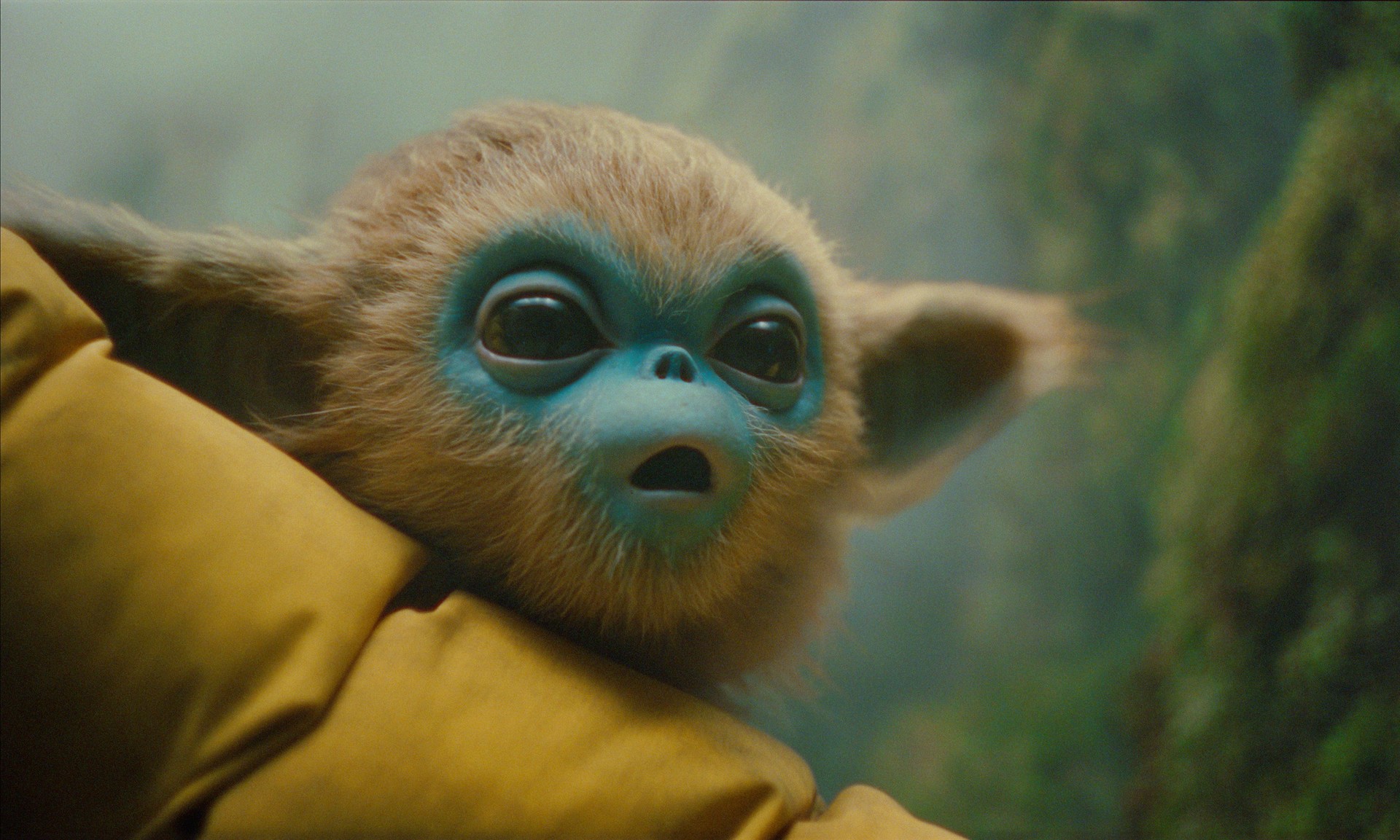 Bilder aus Die Legende von Ochi