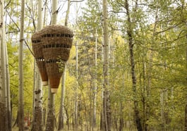 Utopien der Natur • verflochtene Zeiten