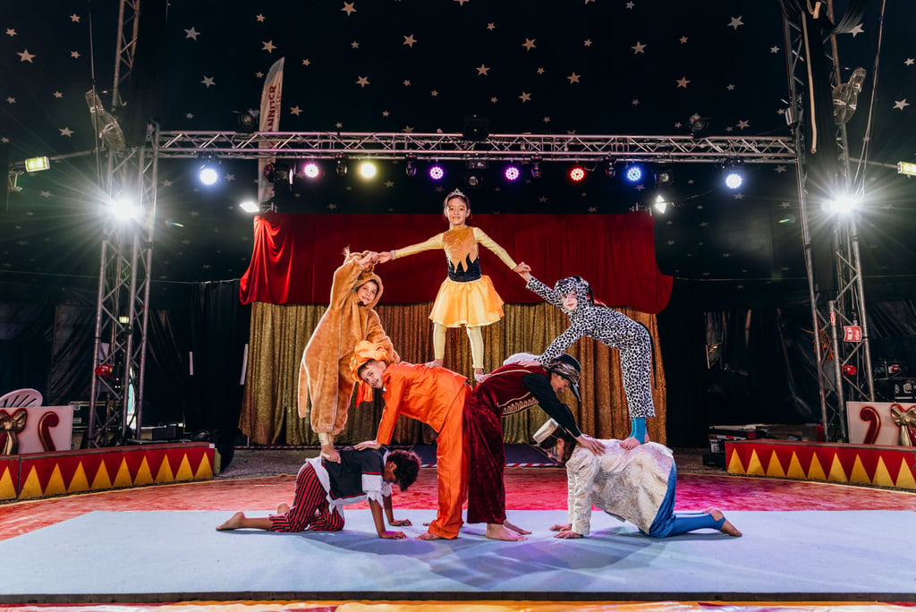 Circus performers in animal costumes form a pyramid on a lit stage with a starry backdrop and red curtains.
